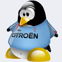 Penguin pingouin pinguino 74